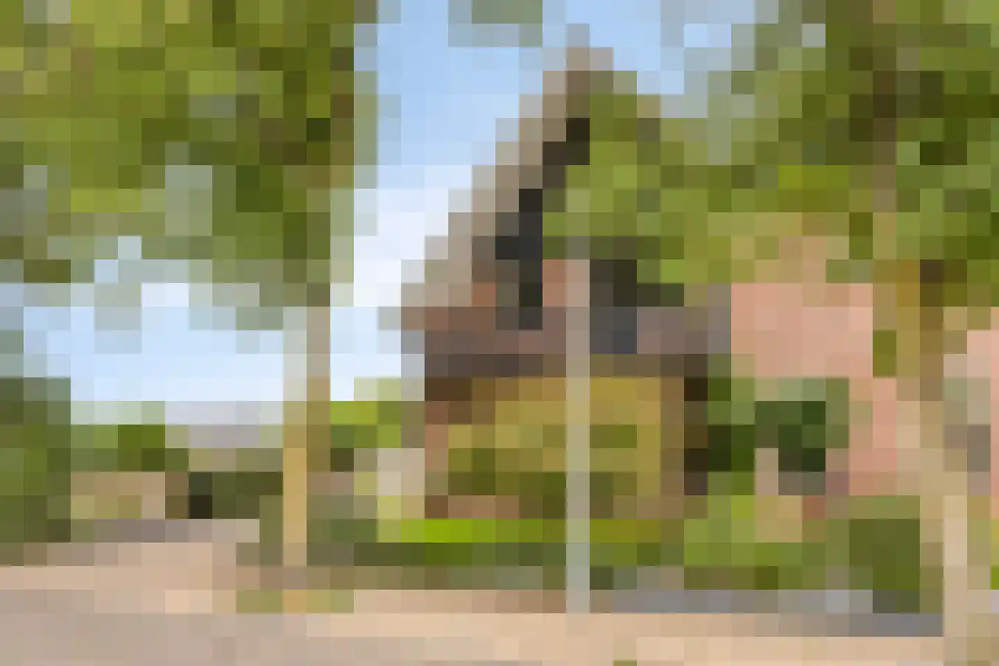 Pastoor Scheepersstraat 15 Vragender thumbnail 5