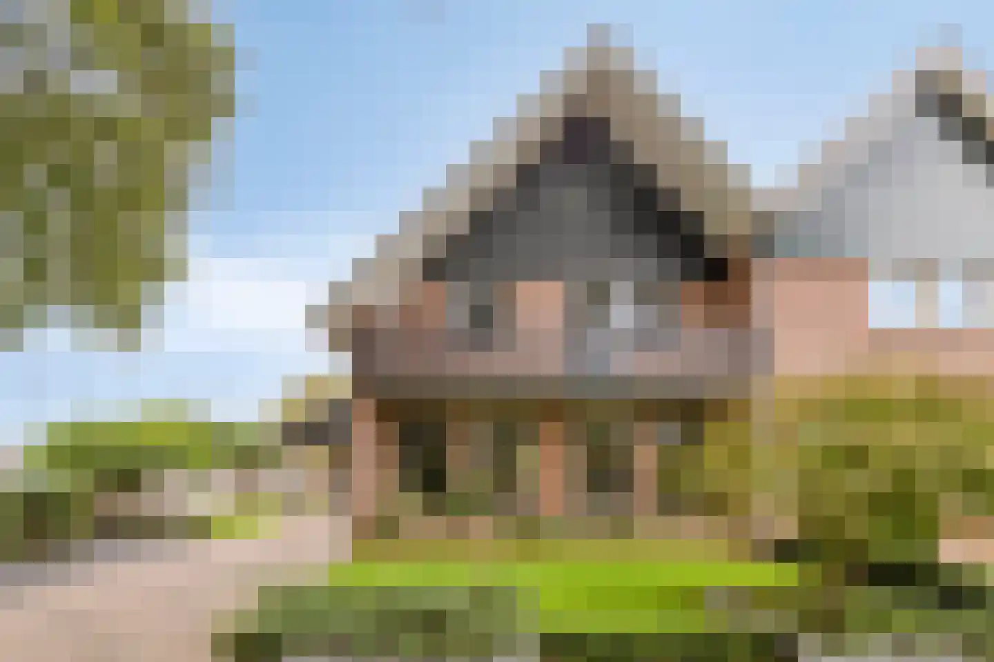 Pastoor Scheepersstraat 15 Vragender thumbnail 6