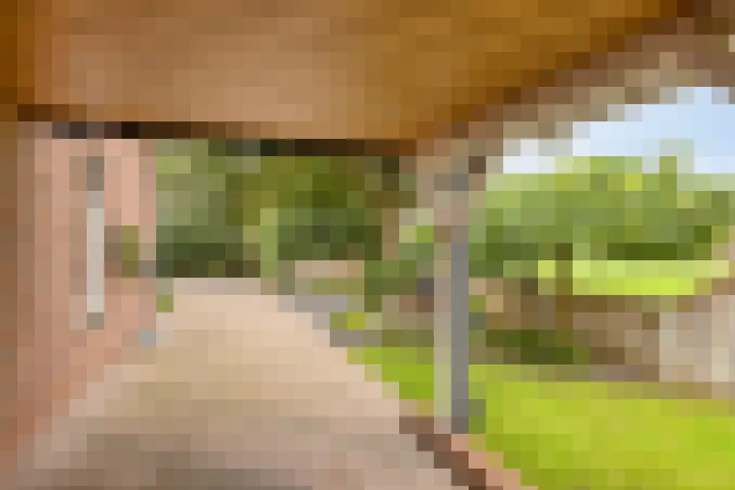 Pastoor Scheepersstraat 15 Vragender thumbnail 8