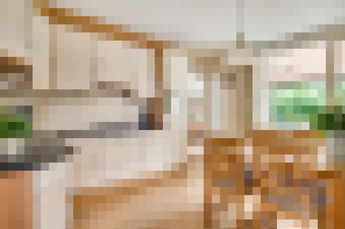 Pastoor Schippersstraat 24 Roggel thumbnail 11