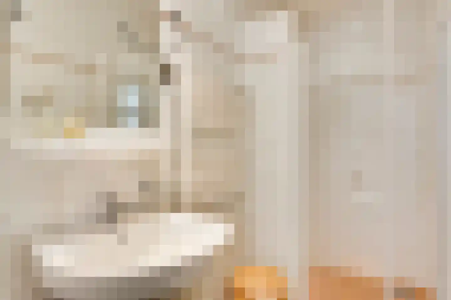 Pastoor Schippersstraat 24 Roggel thumbnail 24