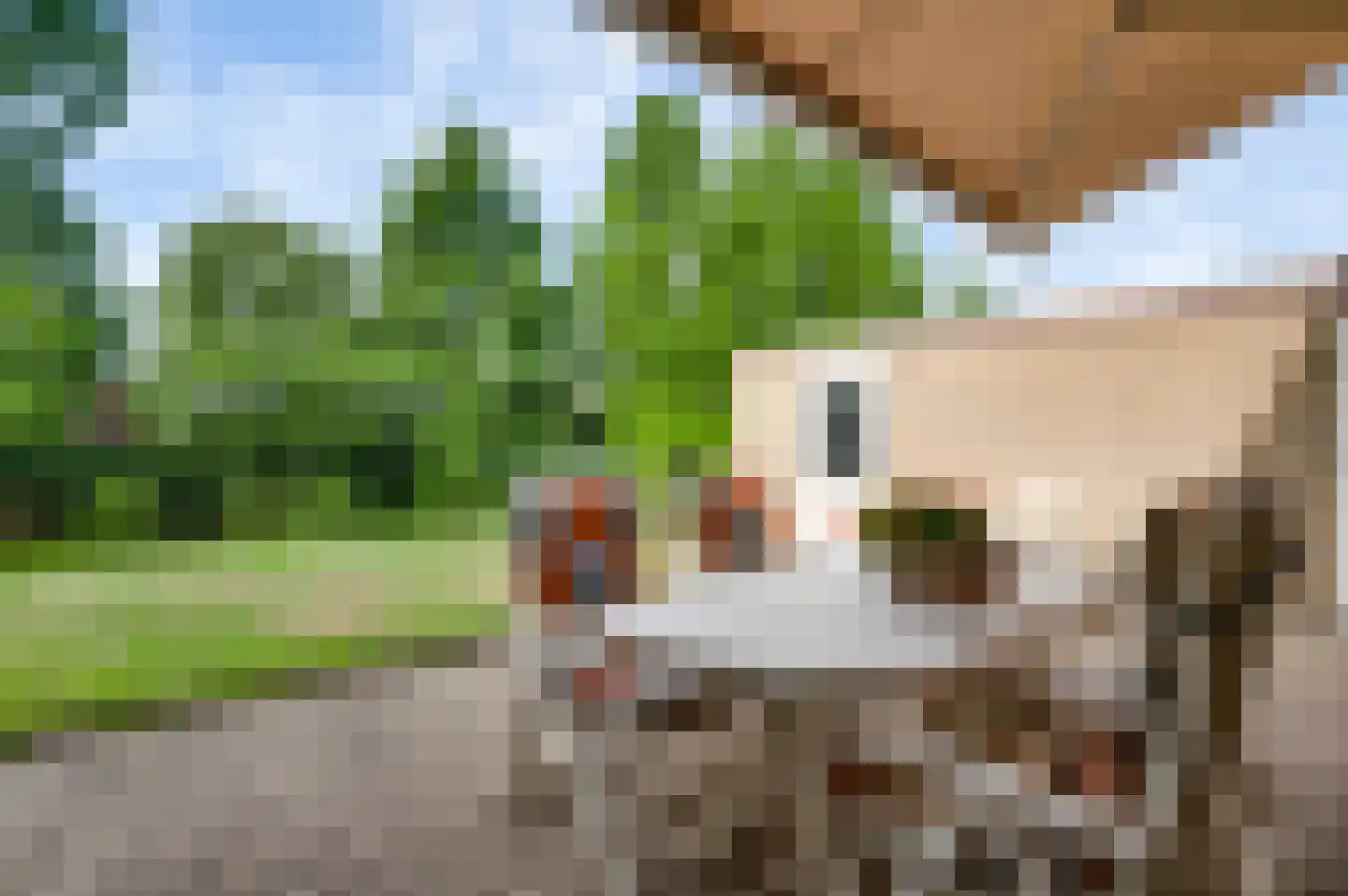 Pastoor Schippersstraat 24 Roggel thumbnail 27