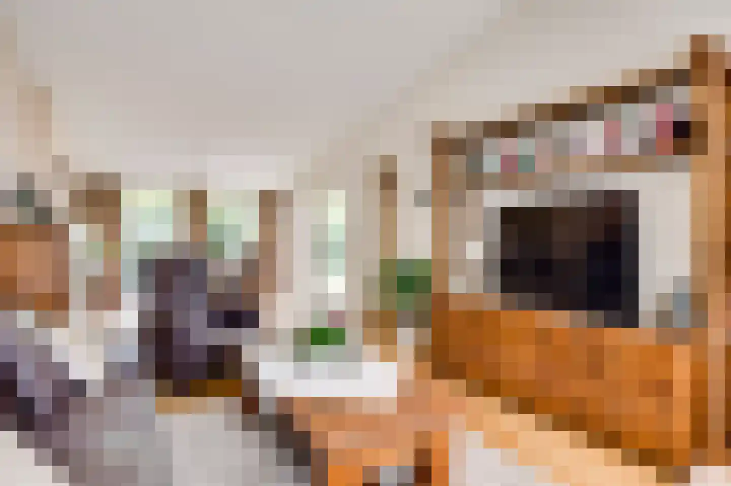Pastoor Schippersstraat 24 Roggel thumbnail 4