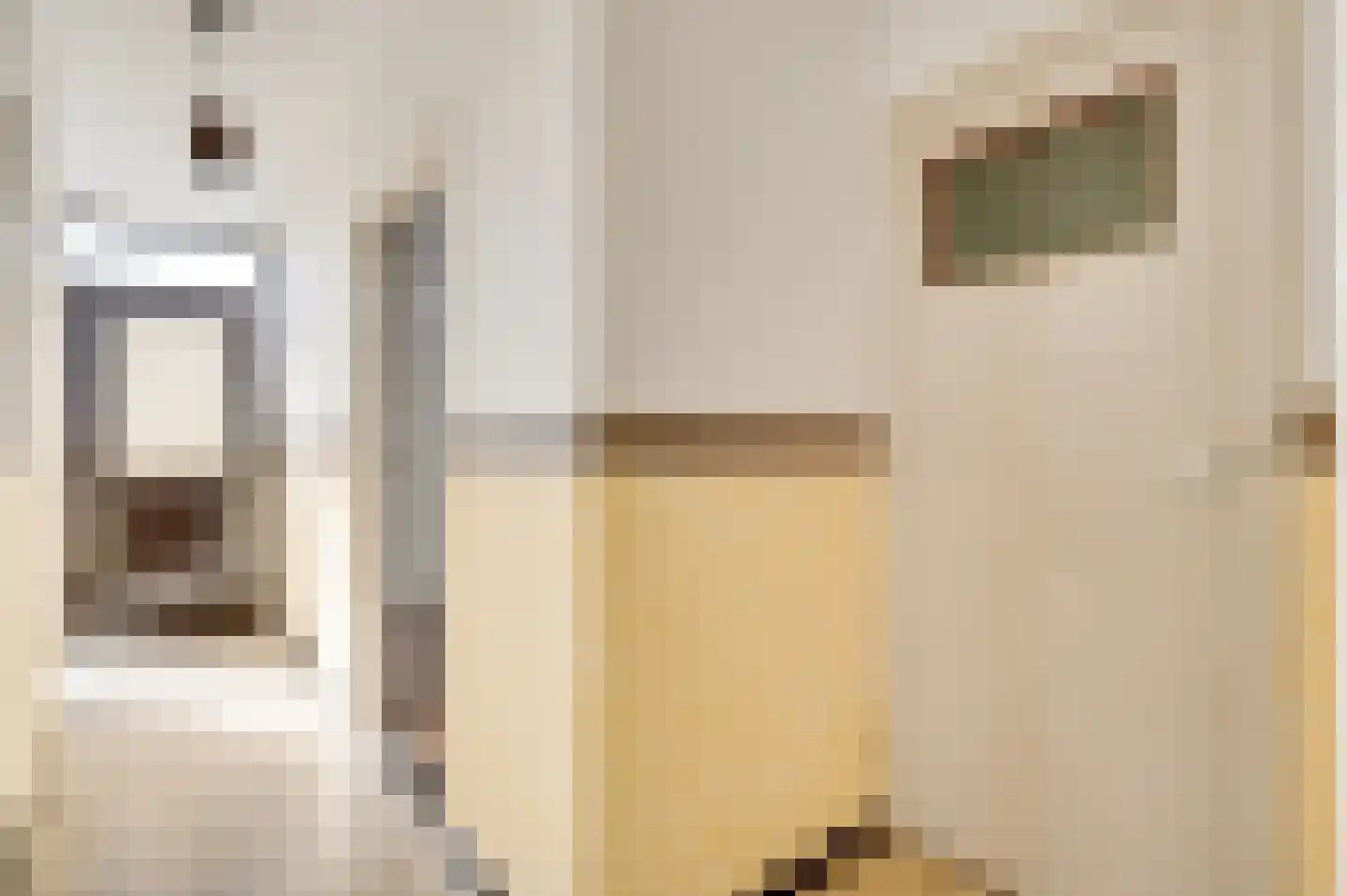 Pastoor Schippersstraat 35 Roggel thumbnail 14