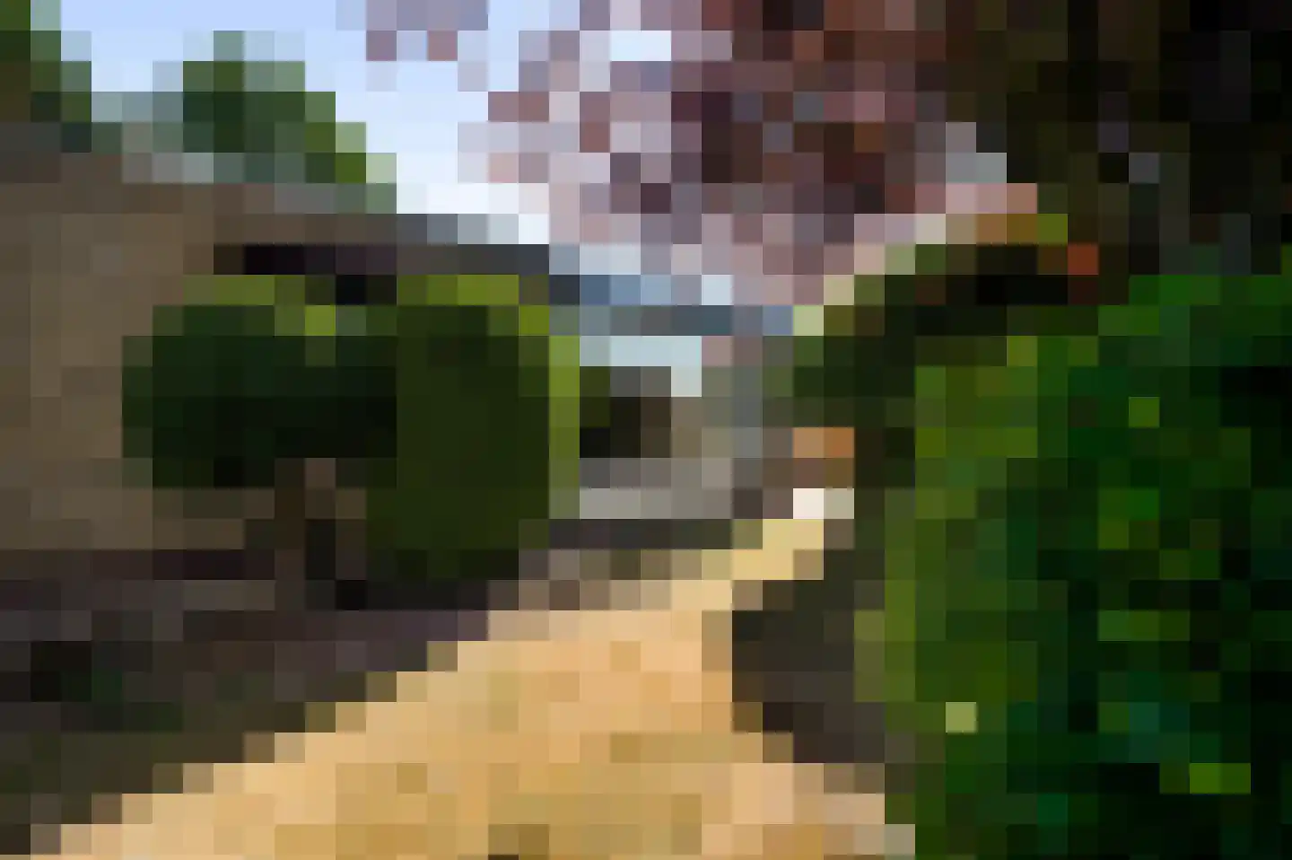 Pastoor Schippersstraat 35 Roggel thumbnail 4