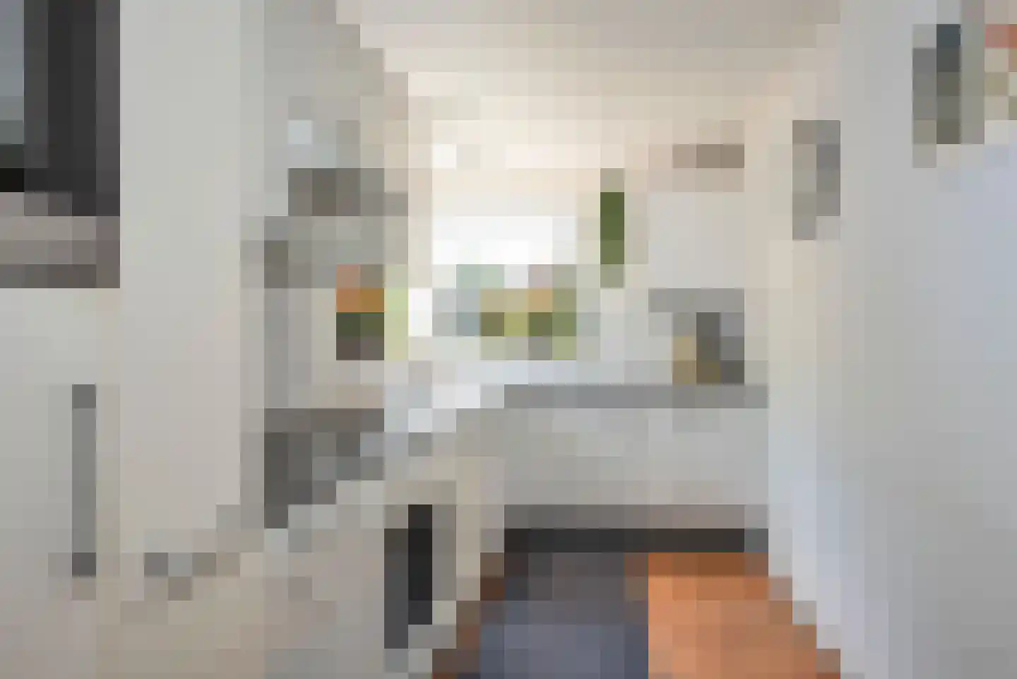 Pastoor Schneiderstraat 1 Enschede thumbnail 12