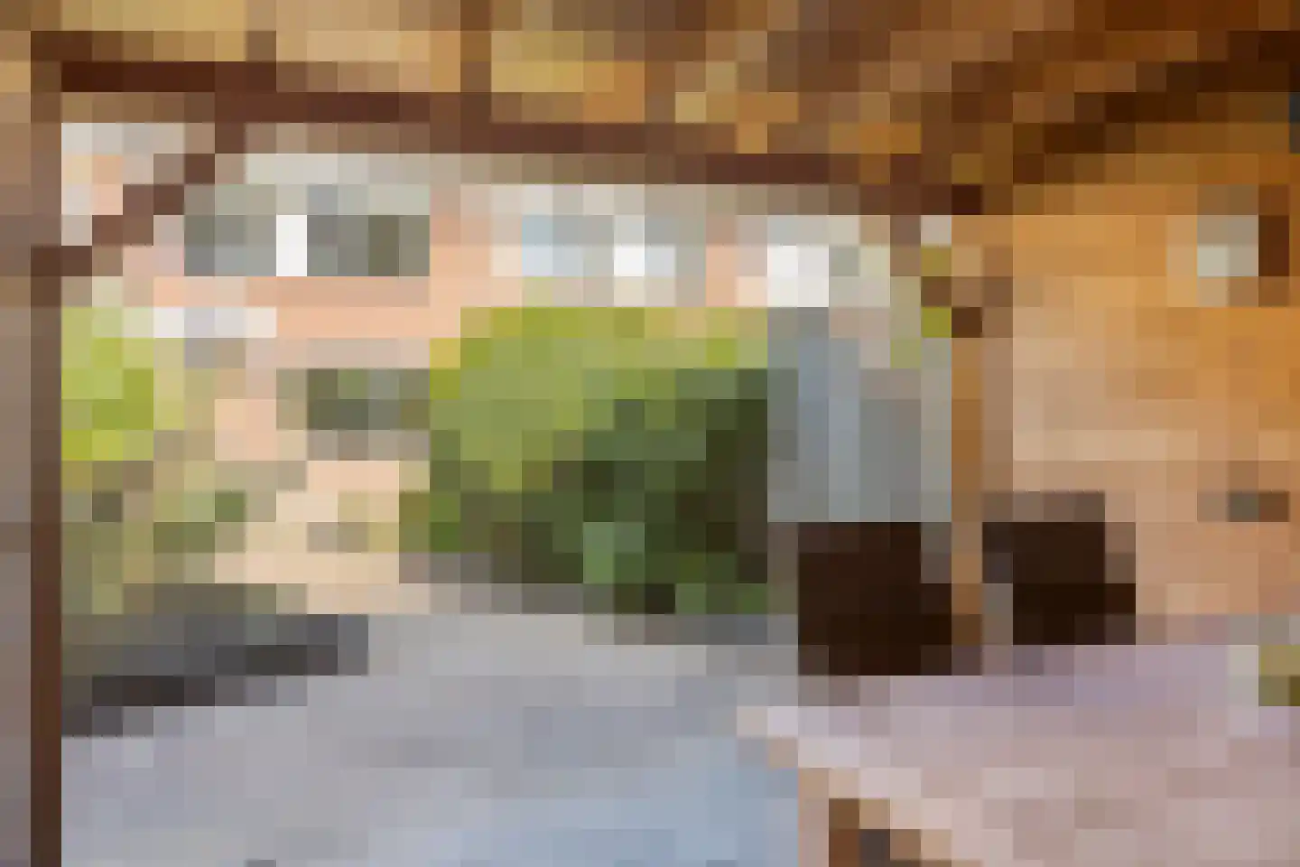 Pastoor Schneiderstraat 3 Enschede thumbnail 34
