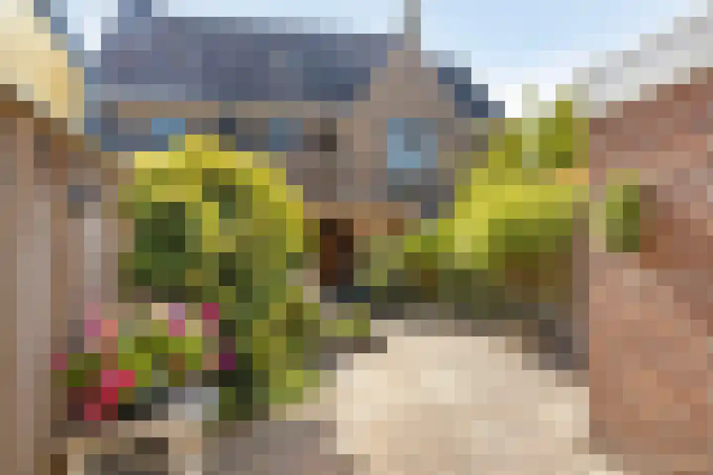 Pastoor Schneiderstraat 3 Enschede thumbnail 5