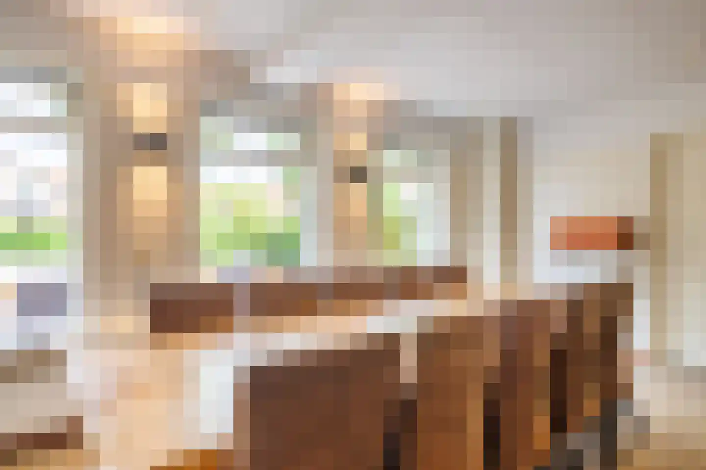 Pastoor Scholtenweg 24 a Buren thumbnail 7