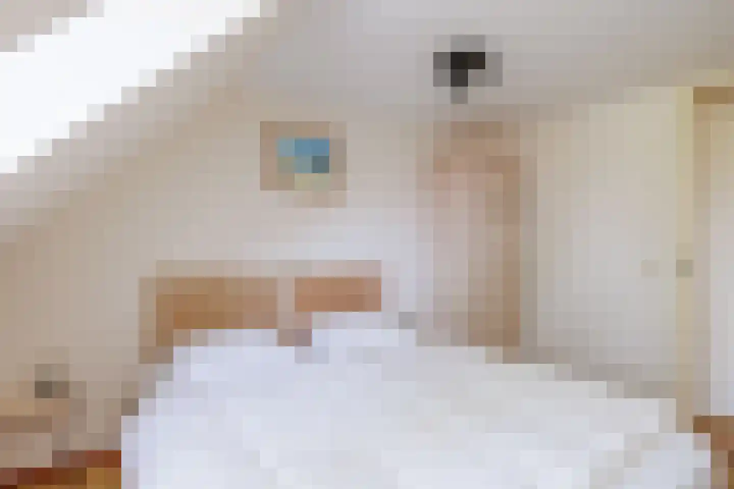 Pastoor Scholtenweg 24 Buren thumbnail 26