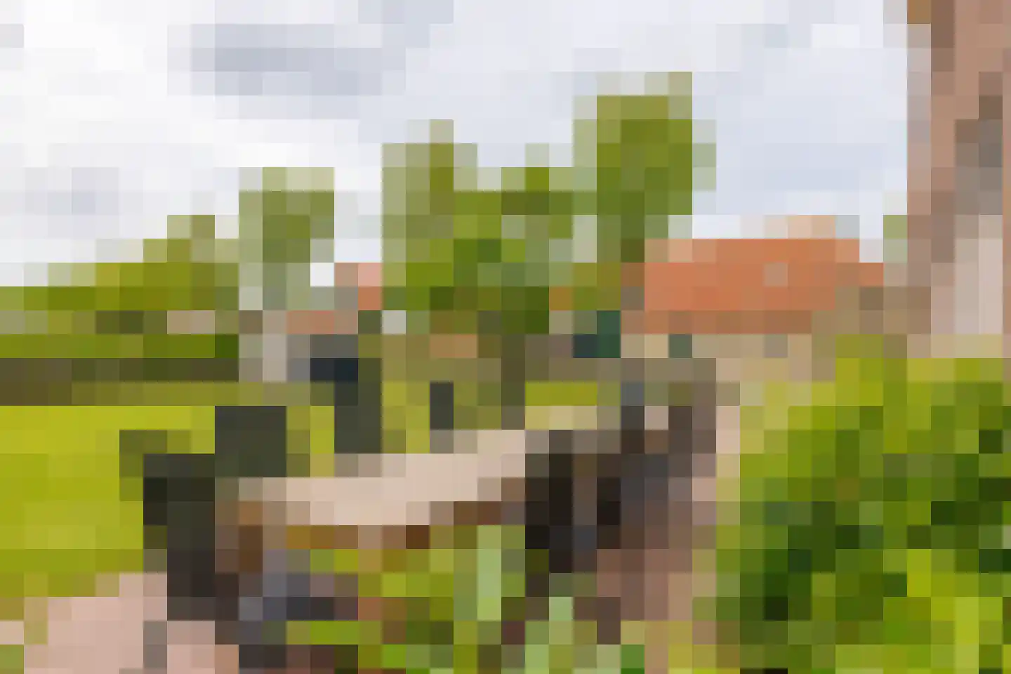 Pastoor Scholtenweg 24 Buren thumbnail 37