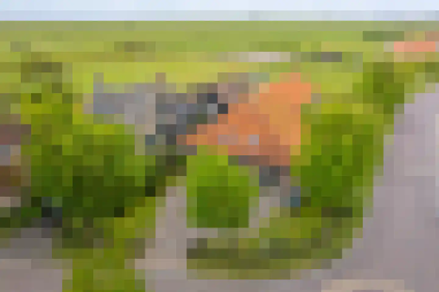 Pastoor Scholtenweg 24 Buren thumbnail 43