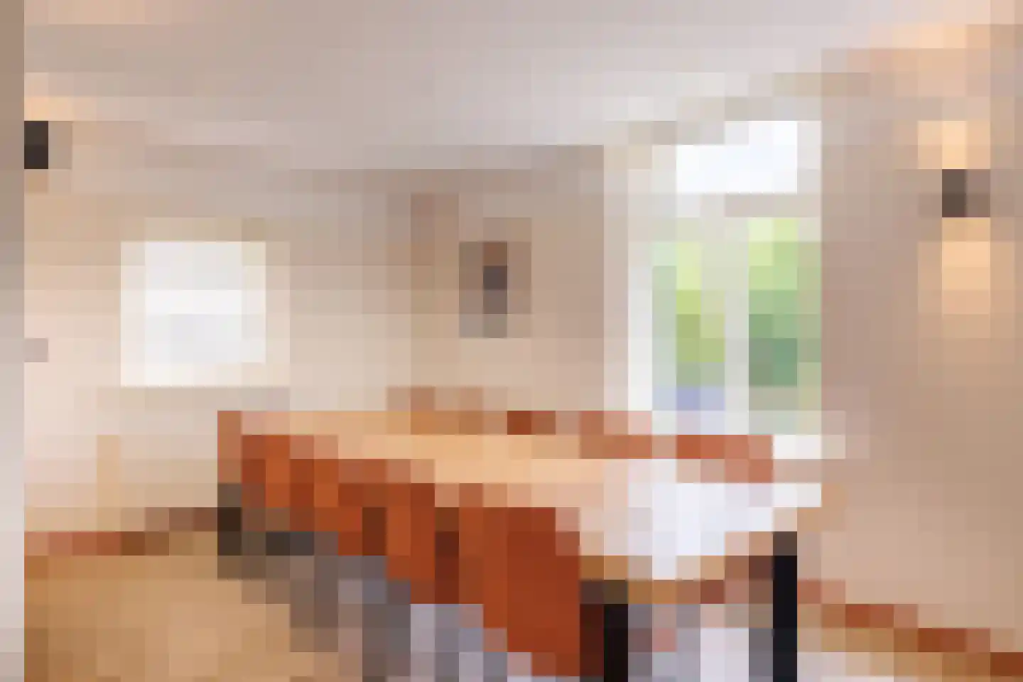 Pastoor Scholtenweg 24 Buren thumbnail 8