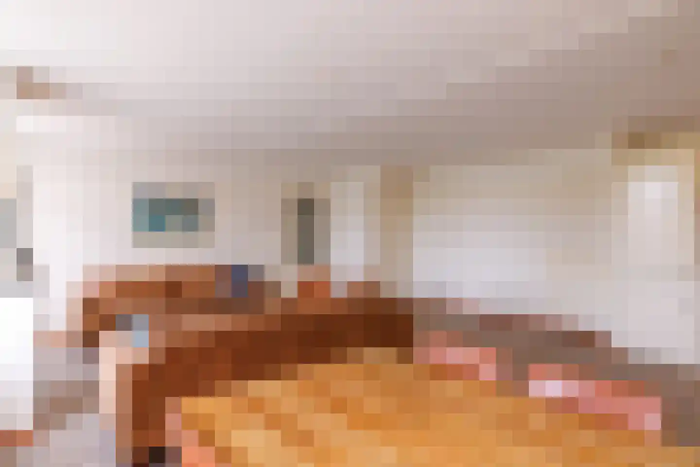 Pastoor Scholtenweg 24 Buren thumbnail 9