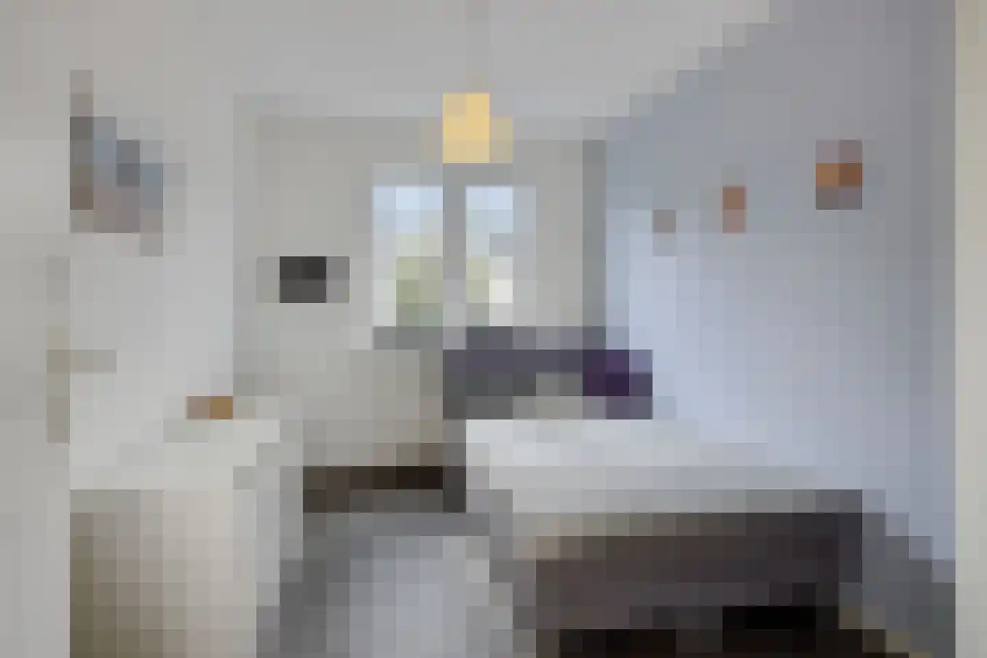 Pastoor Schutjesstraat 29 's-Hertogenbosch thumbnail 17