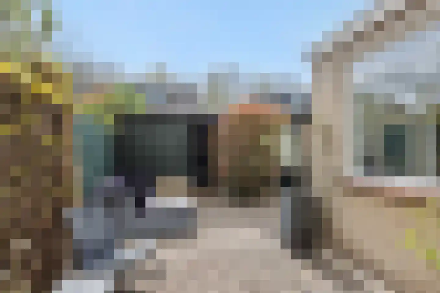 Pastoor Schutjesstraat 29 's-Hertogenbosch thumbnail 23