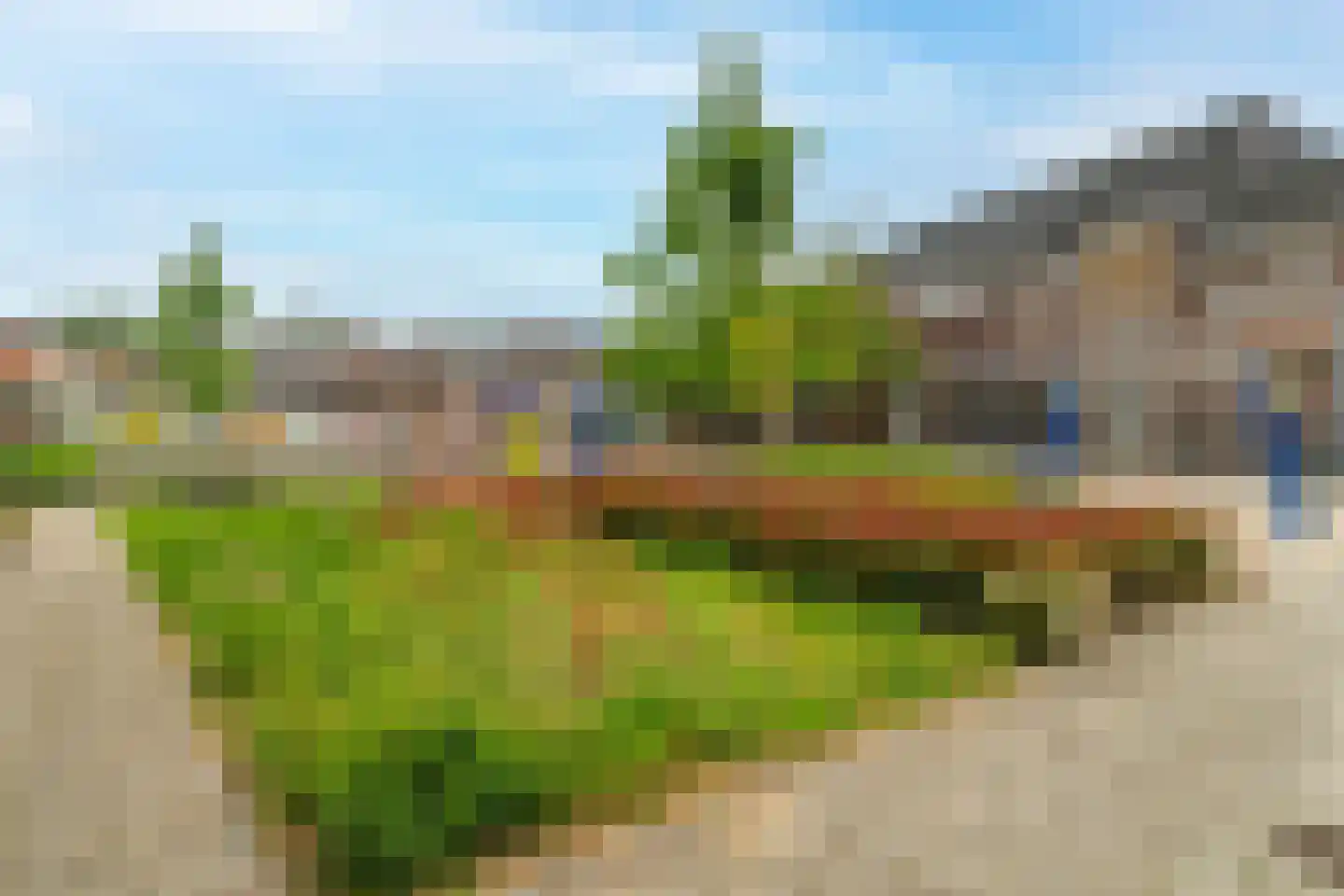 Pastoor Schutjesstraat 98 Tilburg thumbnail 4