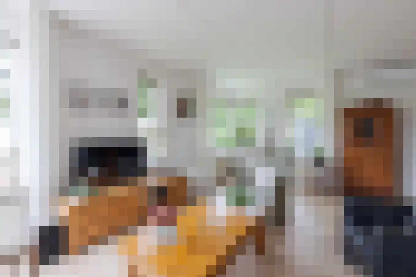 Pastoor Schuttestraat 12 Steggerda thumbnail 11
