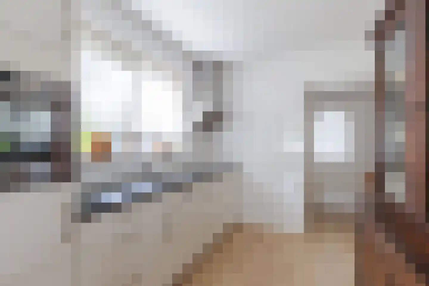 Pastoor Schuttestraat 12 Steggerda thumbnail 13