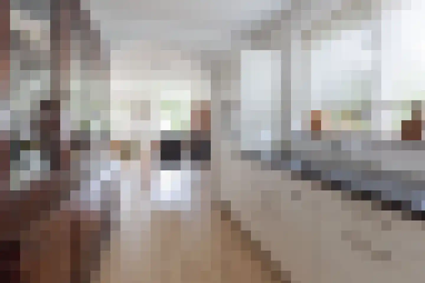 Pastoor Schuttestraat 12 Steggerda thumbnail 14