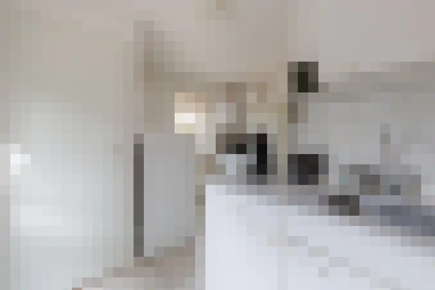 Pastoor Schuttestraat 12 Steggerda thumbnail 16