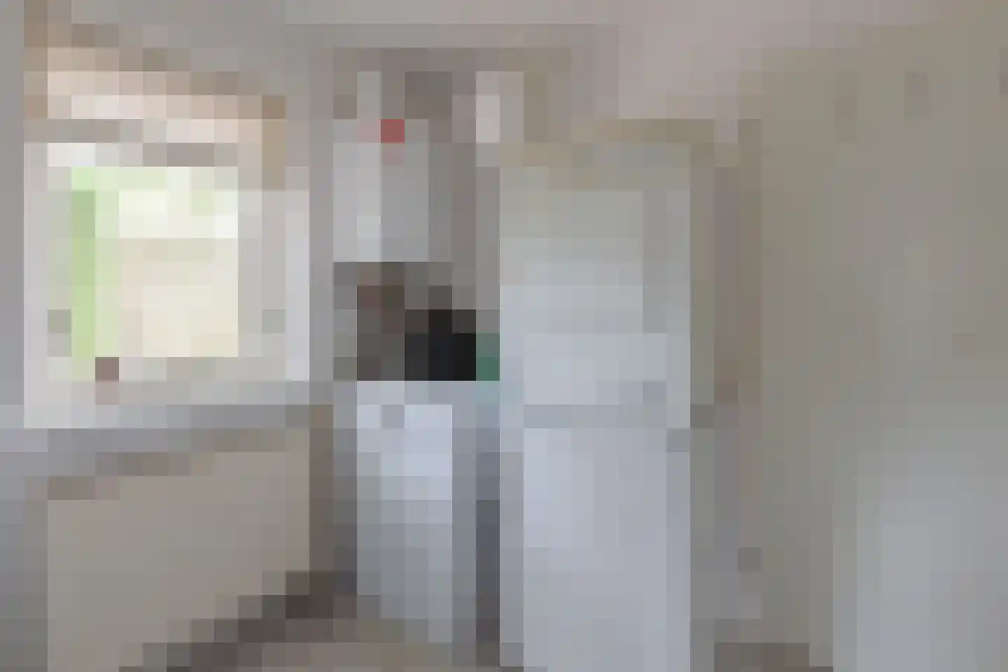 Pastoor Schuttestraat 12 Steggerda thumbnail 17
