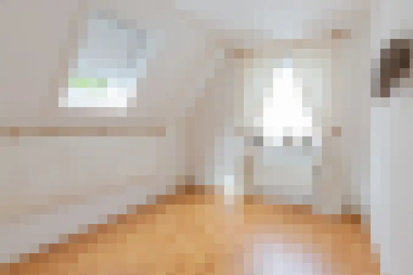 Pastoor Schuttestraat 12 Steggerda thumbnail 26