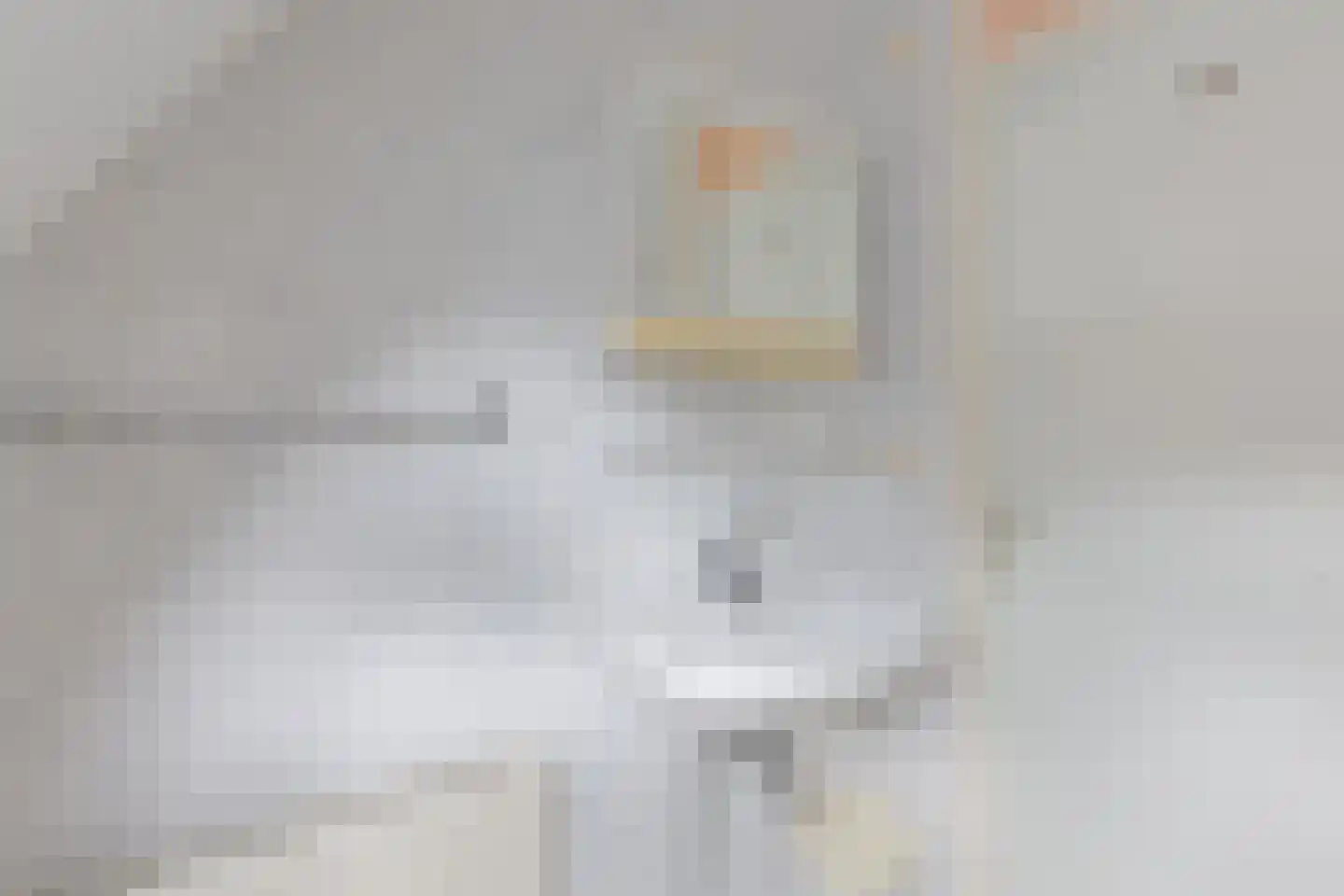 Pastoor Schuttestraat 12 Steggerda thumbnail 30