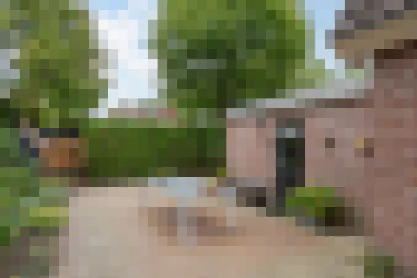 Pastoor Schuttestraat 12 Steggerda thumbnail 33