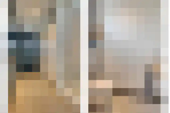 Pastoor Sickingstraat 103 Eindhoven thumbnail 15