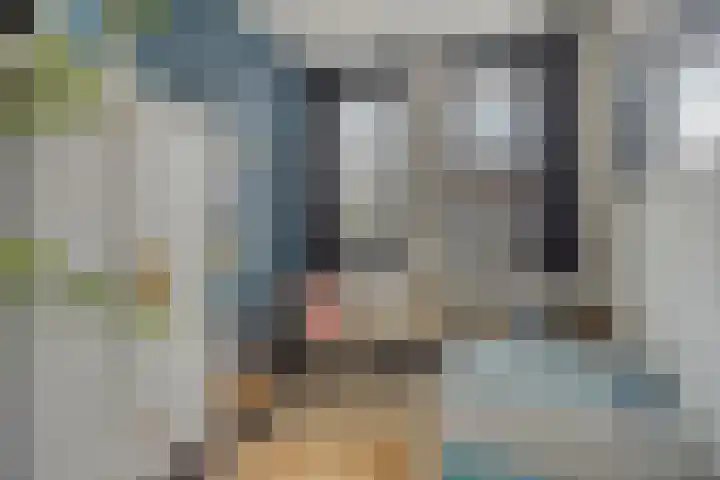 Pastoor Sickingstraat 103 Eindhoven thumbnail 19