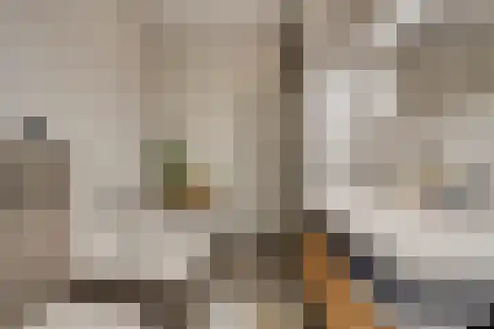 Pastoor Sickingstraat 103 Eindhoven thumbnail 20