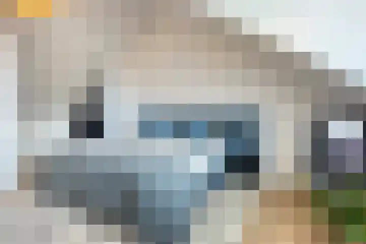 Pastoor Sickingstraat 103 Eindhoven thumbnail 24