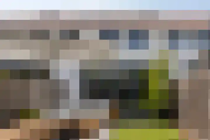 Pastoor Sickingstraat 103 Eindhoven thumbnail 29