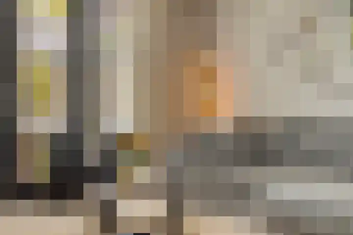 Pastoor Sickingstraat 103 Eindhoven thumbnail 5