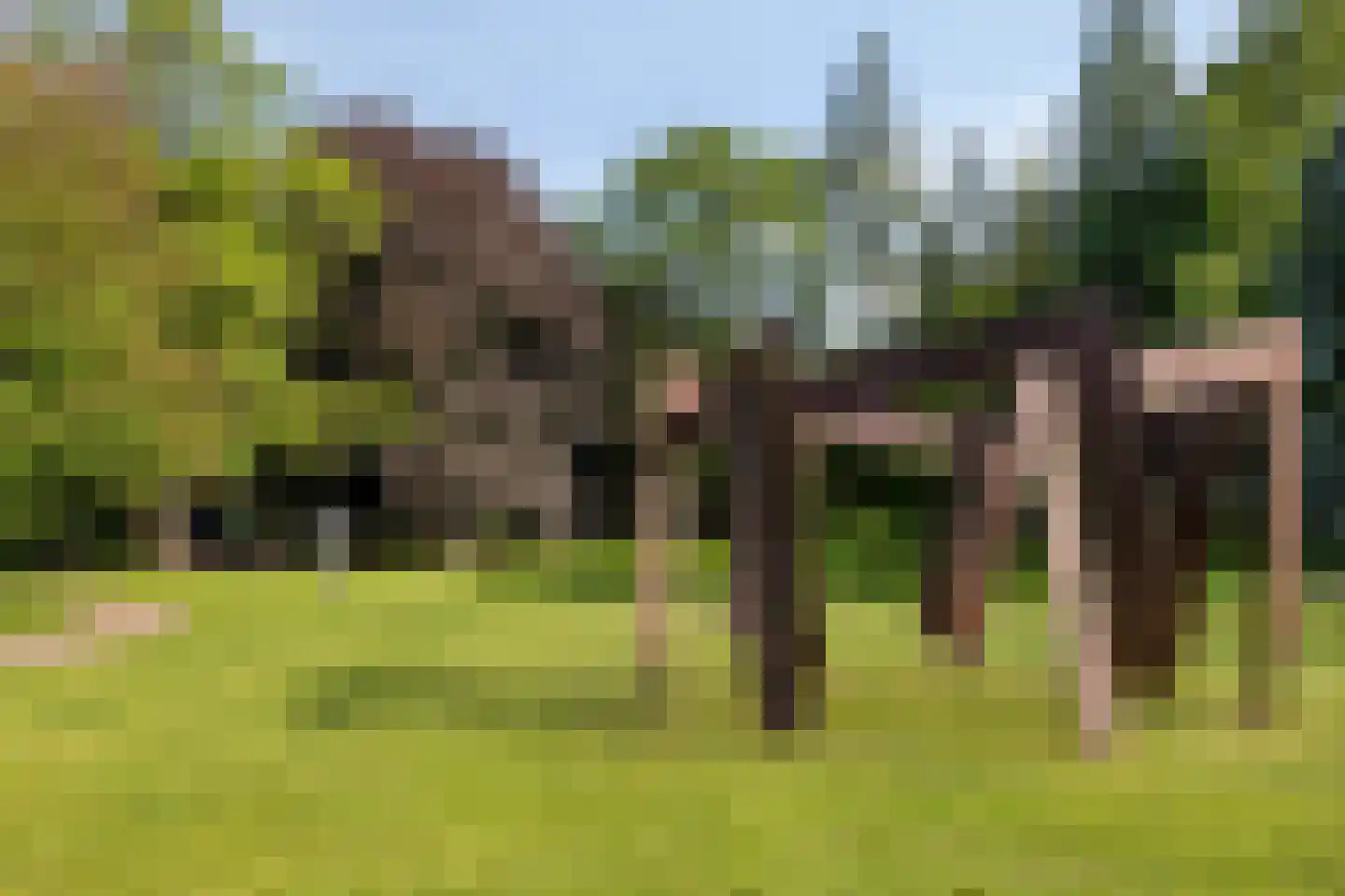 Pastoor Sickingstraat 11 Eindhoven thumbnail 41