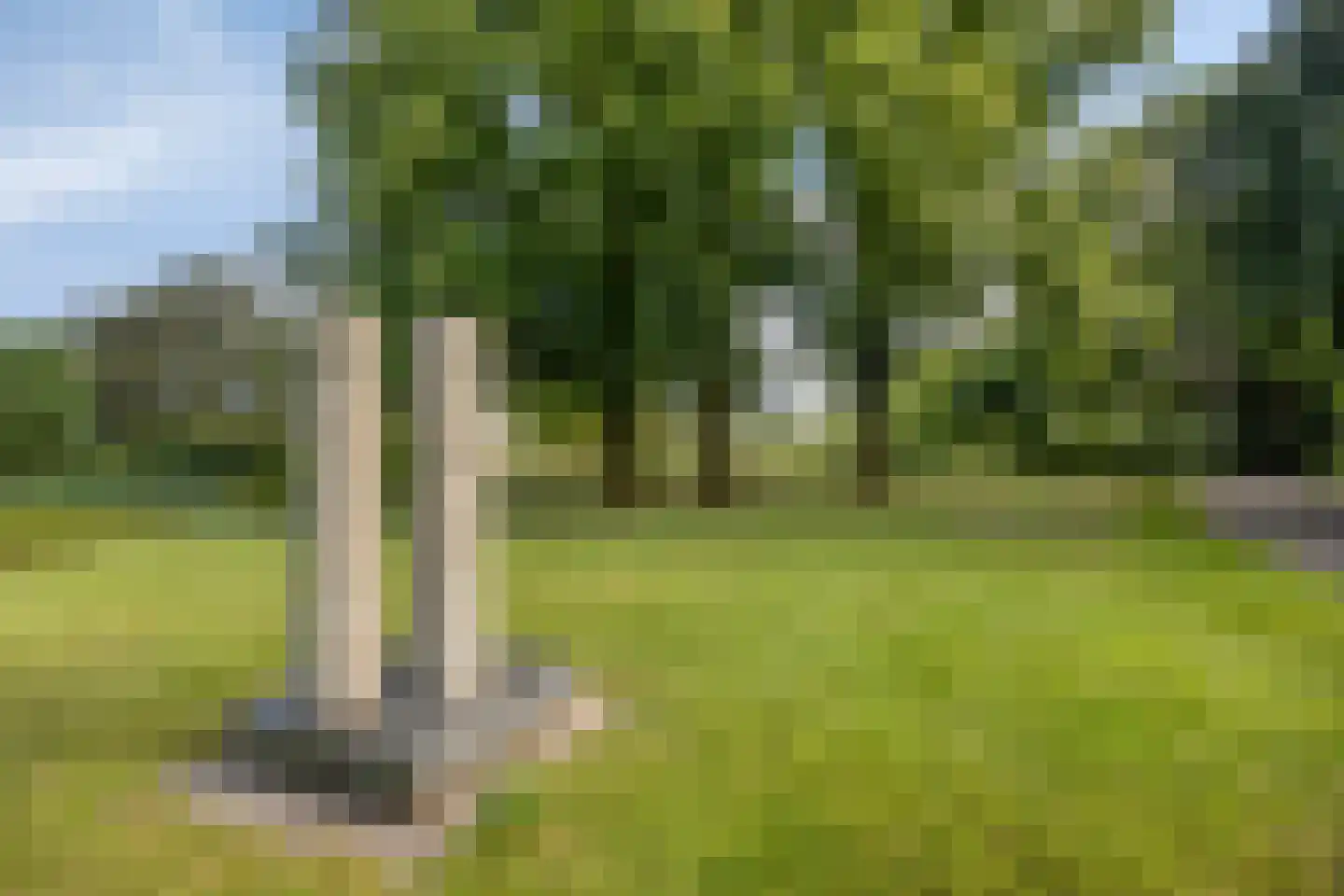 Pastoor Sickingstraat 11 Eindhoven thumbnail 42