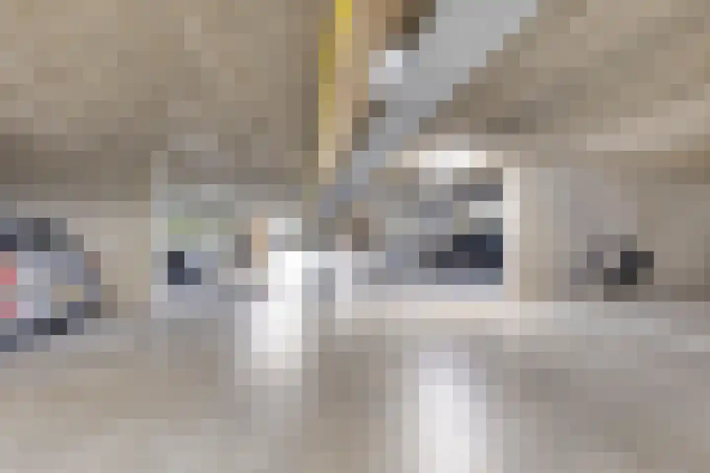 Pastoor Sickingstraat 122 Eindhoven thumbnail 30