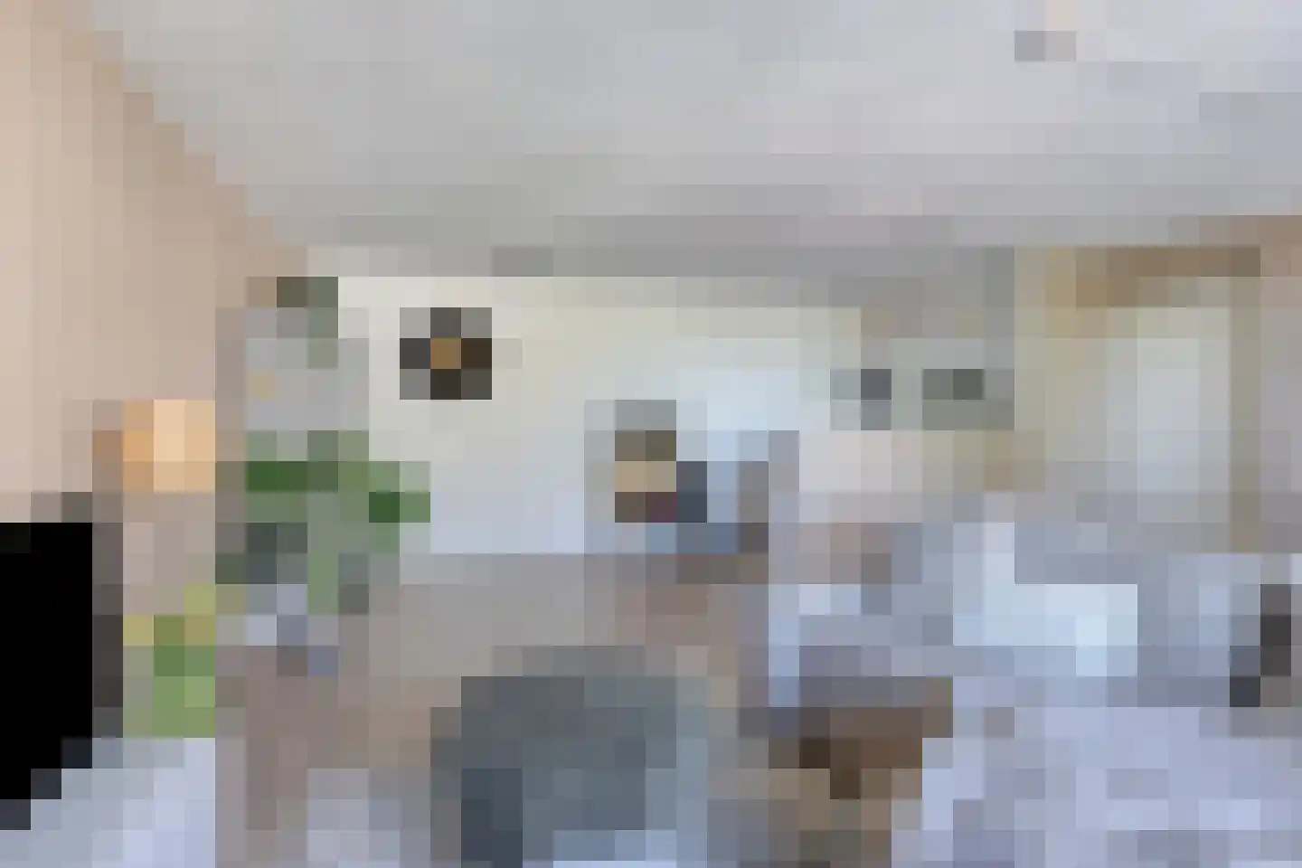 Pastoor Sickingstraat 122 Eindhoven thumbnail 4