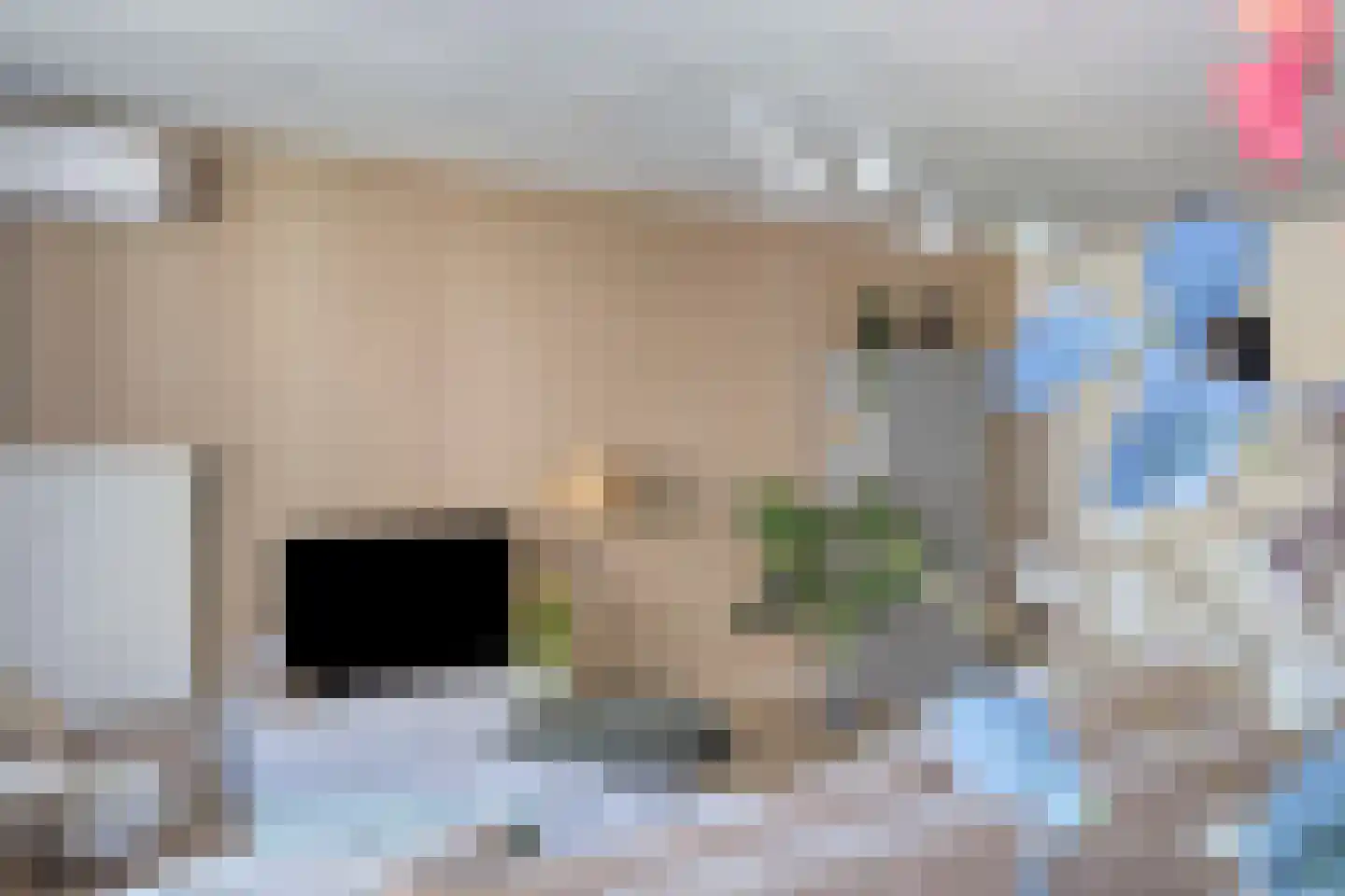 Pastoor Sickingstraat 122 Eindhoven thumbnail 6