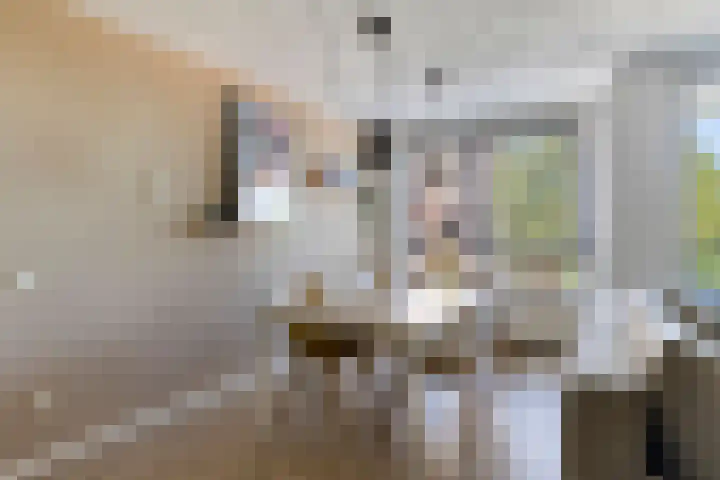 Pastoor Sickingstraat 122 Eindhoven thumbnail 7