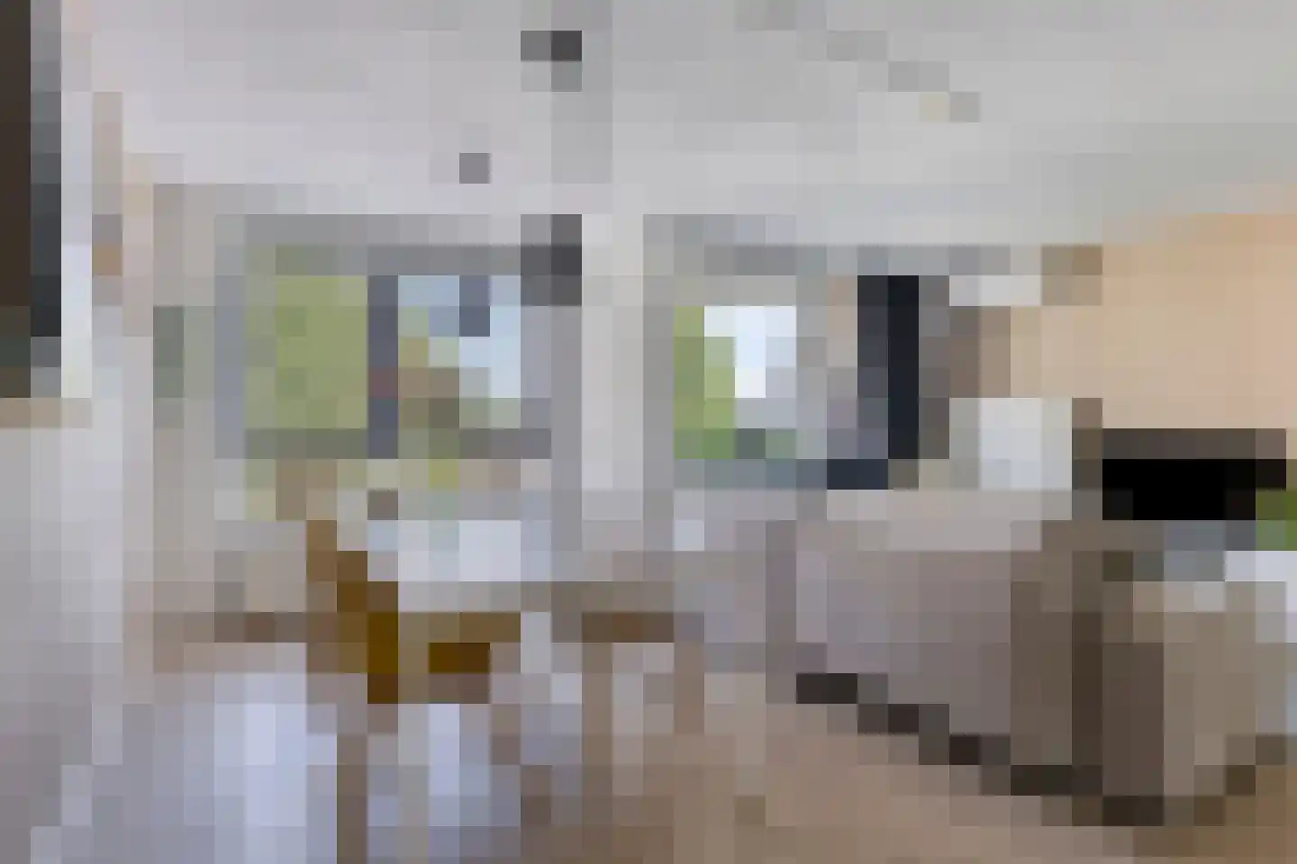 Pastoor Sickingstraat 122 Eindhoven thumbnail 8