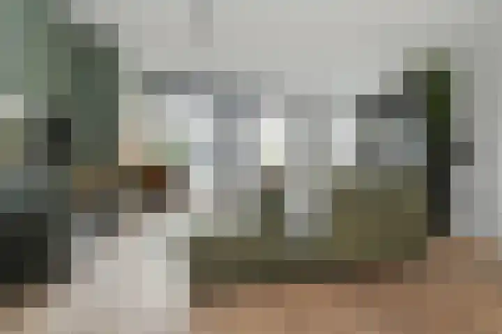 Pastoor Sickingstraat 123 Eindhoven thumbnail 13