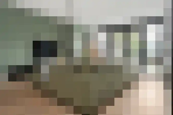 Pastoor Sickingstraat 123 Eindhoven thumbnail 14