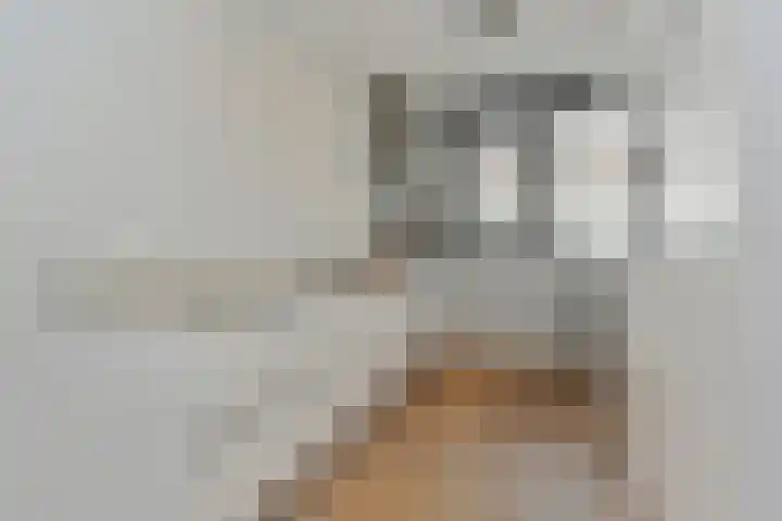 Pastoor Sickingstraat 123 Eindhoven thumbnail 19