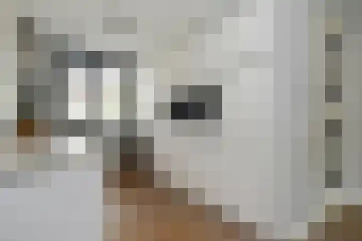 Pastoor Sickingstraat 123 Eindhoven thumbnail 20