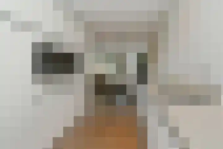 Pastoor Sickingstraat 123 Eindhoven thumbnail 22