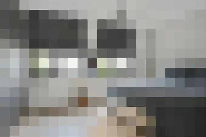 Pastoor Sickingstraat 123 Eindhoven thumbnail 24
