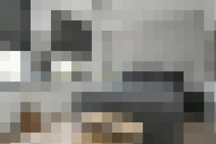 Pastoor Sickingstraat 123 Eindhoven thumbnail 25