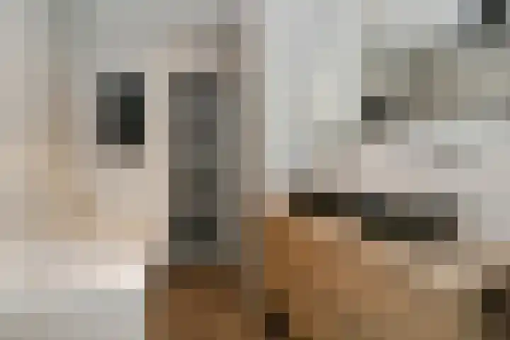 Pastoor Sickingstraat 123 Eindhoven thumbnail 29